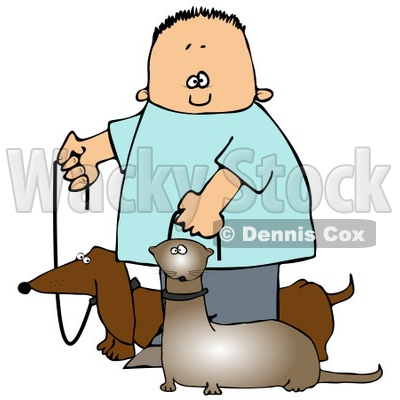And His Pet Ferret On Leashes Clipart Image Graphic   Djart  16619