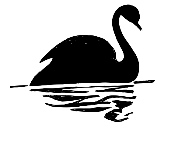 Black Swan Silhouette By Konand   Black Swan Bird Swimming In The Lake    