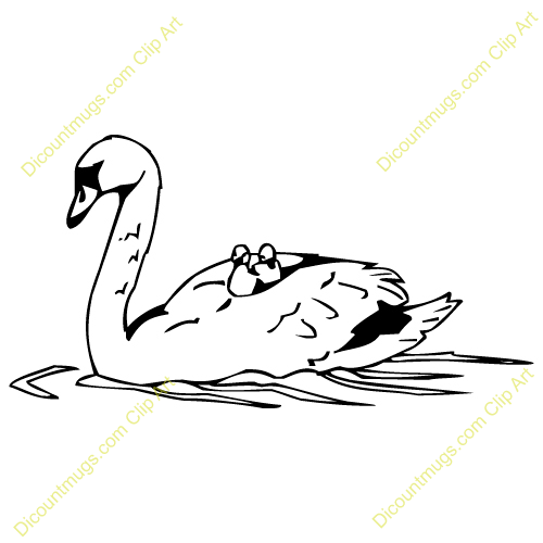 Free Swans Clipart   Custom Clip Art