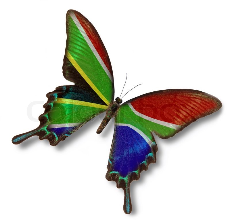 Republic Of South Africa Flag On Butterfly   Stock Photo   Colourbox