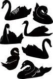 Swans 2 Stock Vectors Illustrations   Clipart