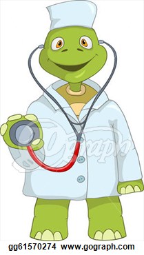 Cartoon Character Funny Turtle Isolated On White Background  Doctor