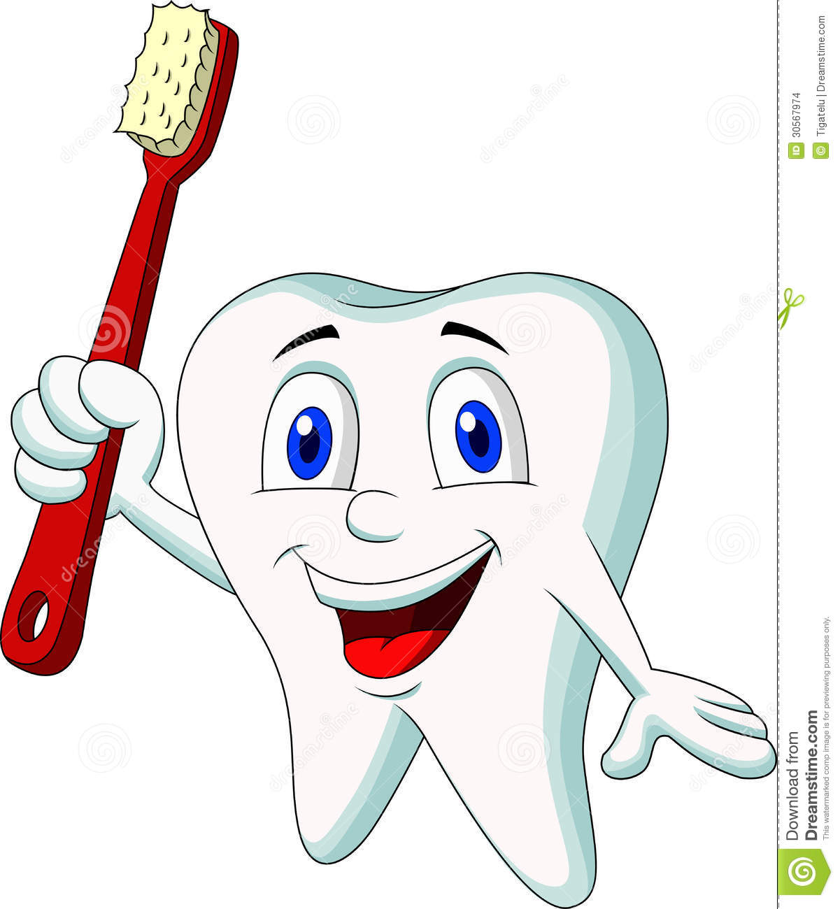 Cute Tooth Cartoon Holding Tooth Brush Stock Images   Image  30567974
