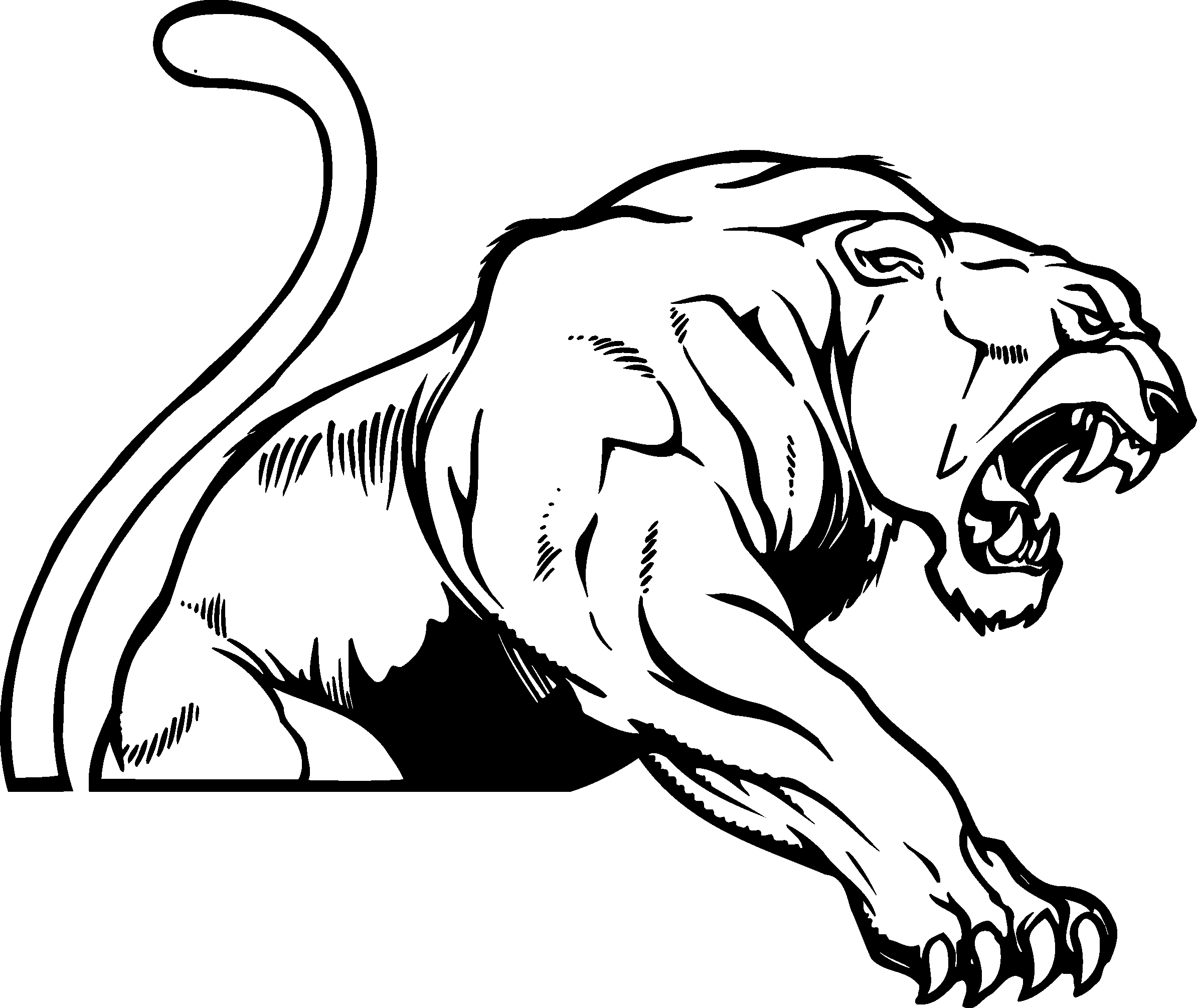 Panther Logo   Free Large Images