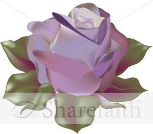 Blossoming Purple Rose   Church Rose Clipart