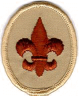 Boy Scout Joining Requirements