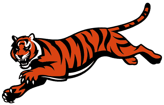 Cincinnati Bengals Football Team Logo Public Domain Fair Use Clipart