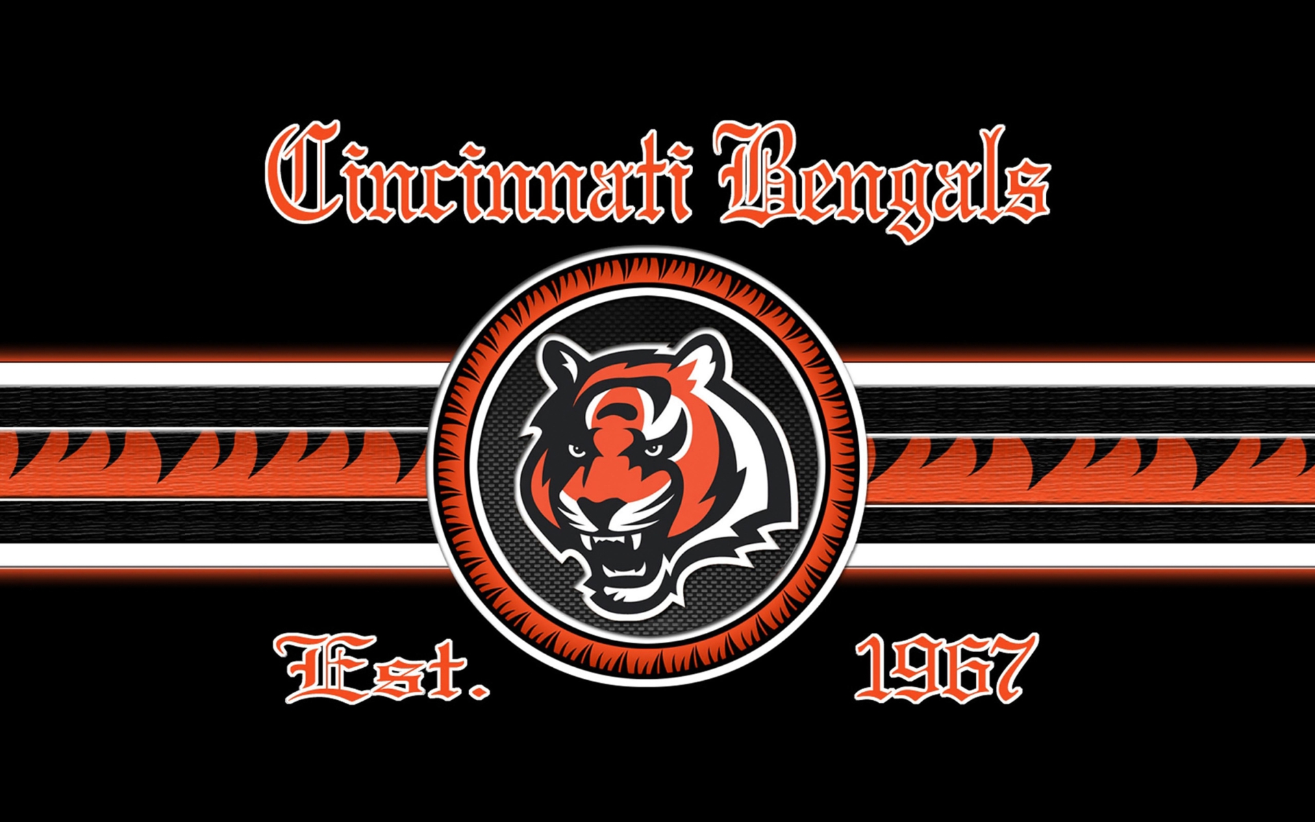 Cincinnati Bengals Nfl Football Ga Wallpaper   1920x1200   157677