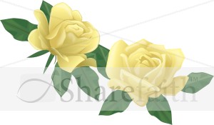 Two Yellow Rose Blossoms   Church Rose Clipart