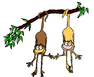 Animated Gif Of Two Monkeys On A Tree