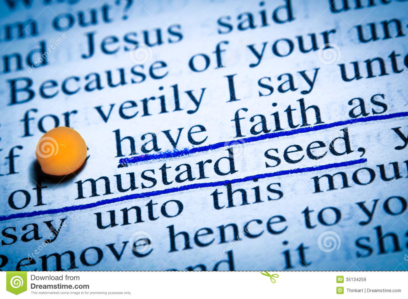 As Small As Of Mustard Seed  New Testament Gospel Of Luke 176