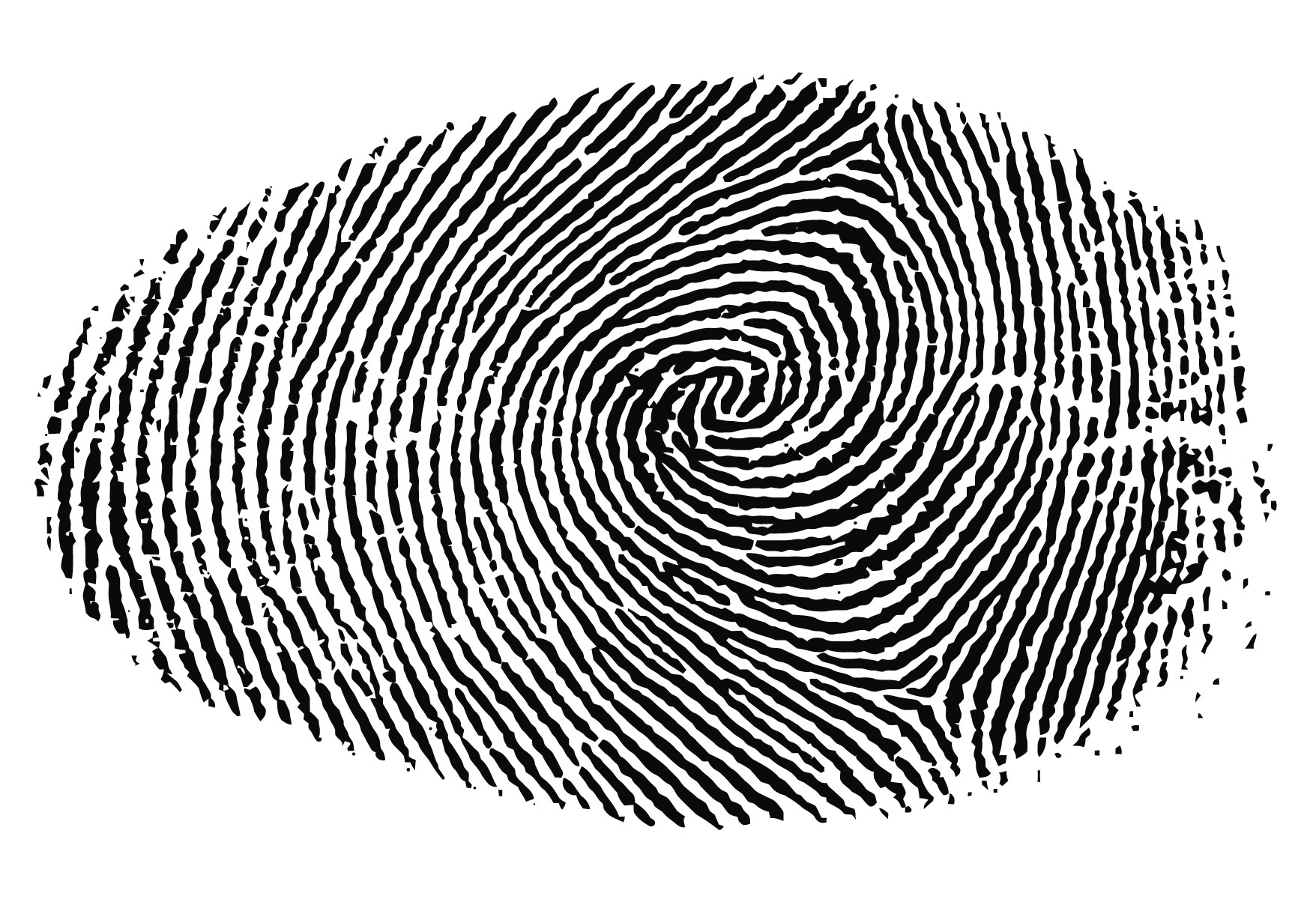 Free Vector Library   Finger Print
