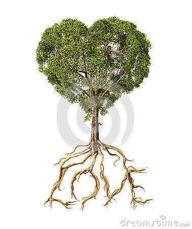 Tree With Foliage With The Shape Of A Heart And Roots As Text Love  On