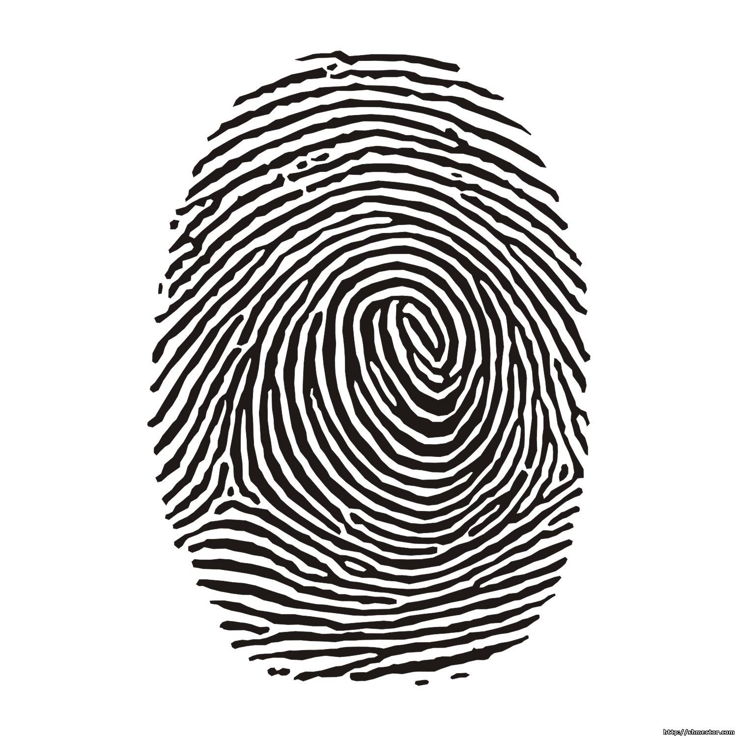 Vector For Free Use  Fingerprint