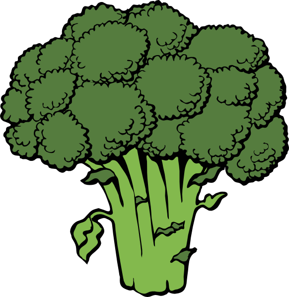 Broccoli Clip Art At Clker Com   Vector Clip Art Online Royalty Free