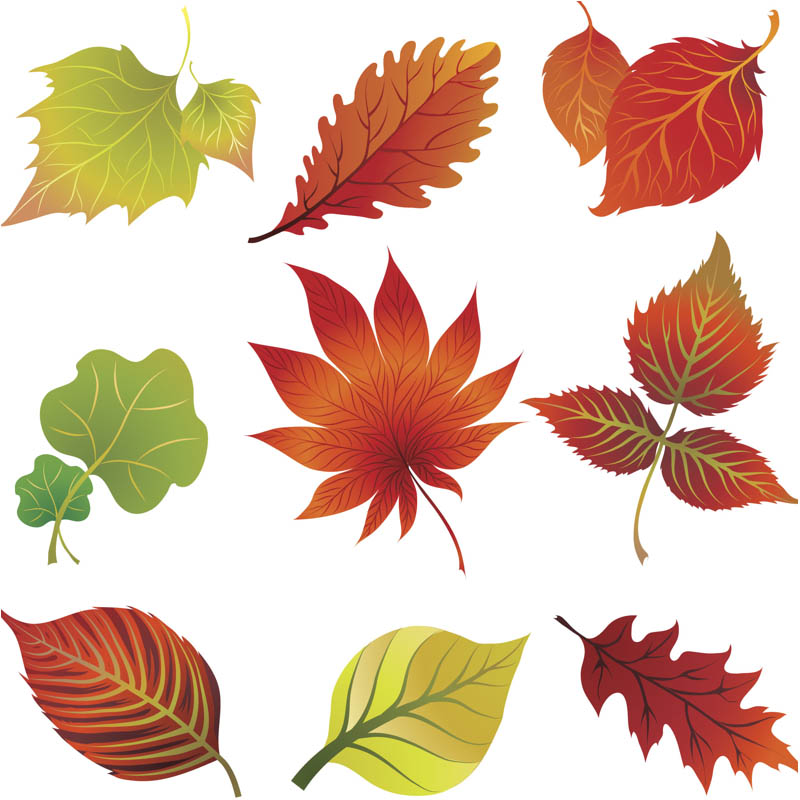 Fall Leaves Clip Art Vector   Vector Graphics Blog