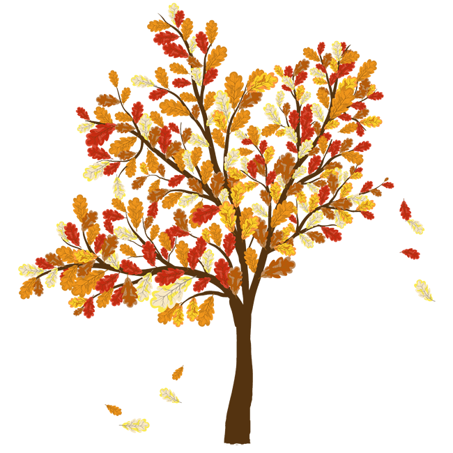 Fall Trees And Leaves Clip Art Picture Of Tree With Leaves