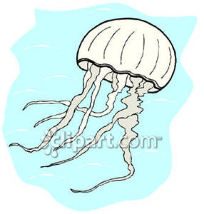 Go Back   Pics For   Clipart Jellyfish