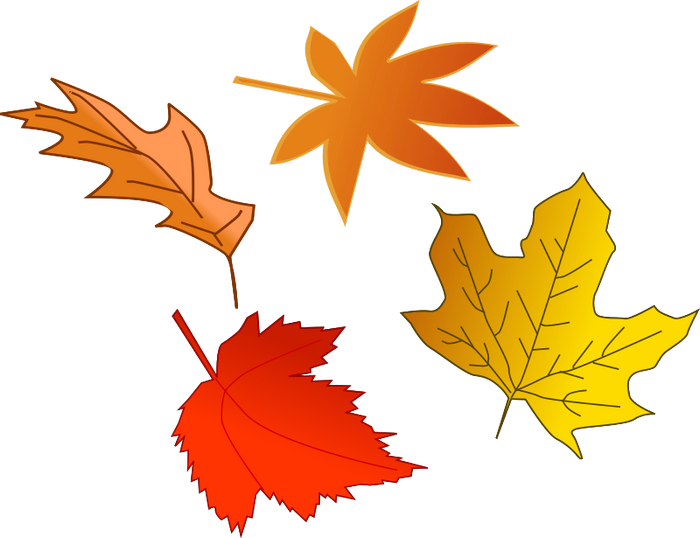 How About     Fall Leaves Clip Art