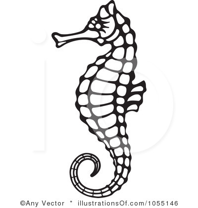 Rf  Seahorse Clipart