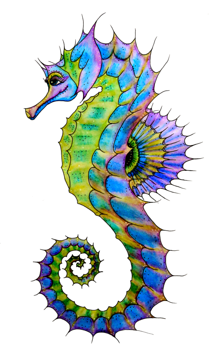 Seahorse Art   Clipart Best