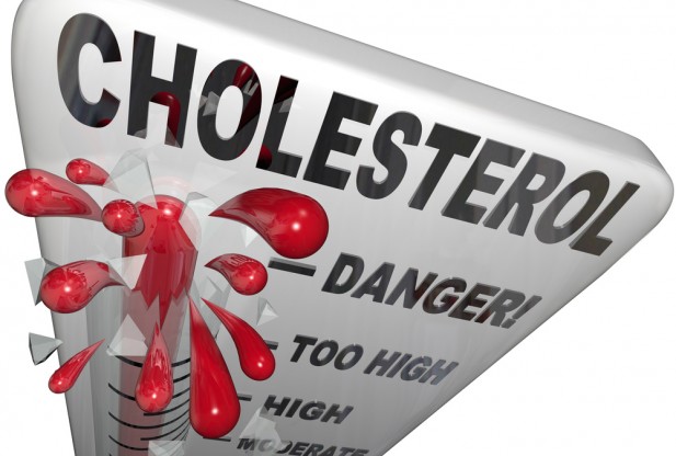 The 30 Clean   Cholesterol  Separating Fiction From Fact