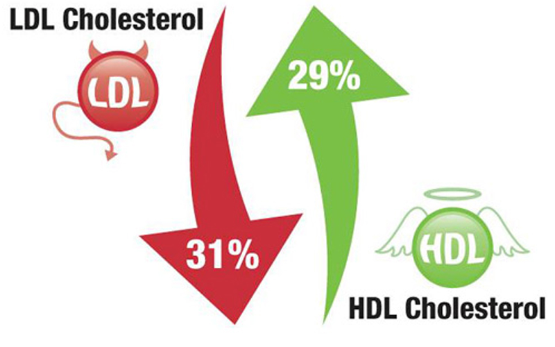 The Result If The Ldl  Low Density Lipoprotein  Is Too High