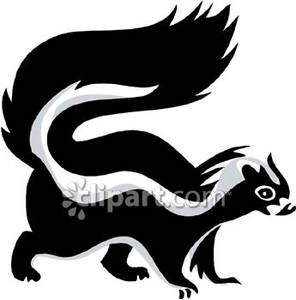 Classic Black And White Skunk   Royalty Free Clipart Picture