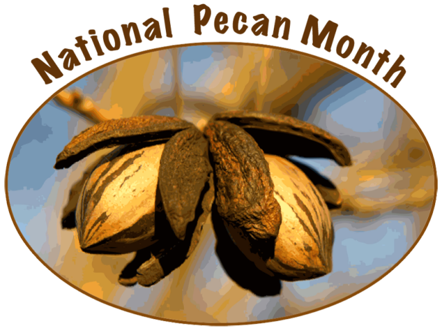 Clip Art For National Pecan Month     Dixie Allan