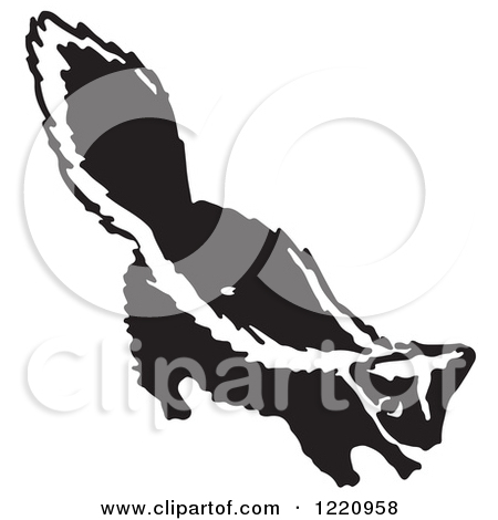 Clipart Of A Black And White Skunk   Royalty Free Vector Illustration