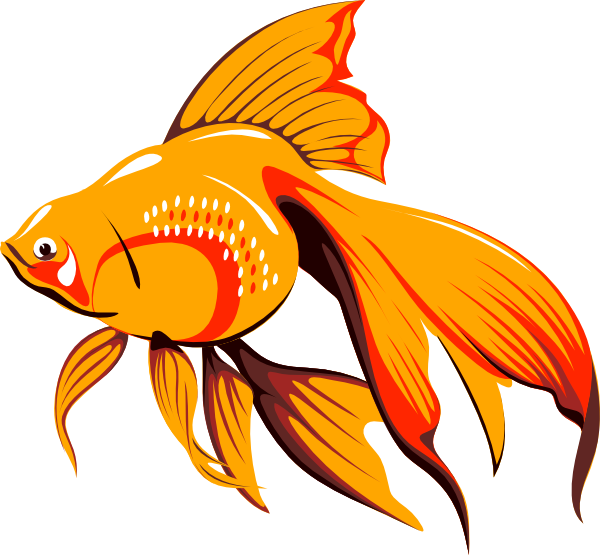 Golden Fish Clip Art At Clker Com   Vector Clip Art Online Royalty