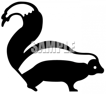 Images Animal Clipart Net Simple Black And White Skunk Clipart Image