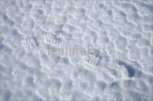 Photo Of Footprints On Snow Ground  Stock Photo To Download At
