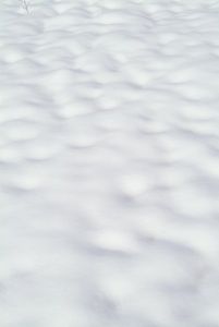 Snow Covered Ground Clipart Photo