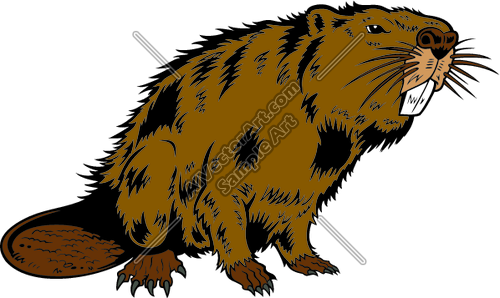 Beaver Clipart And Vectorart  Sports Mascots   Beavers Mascot