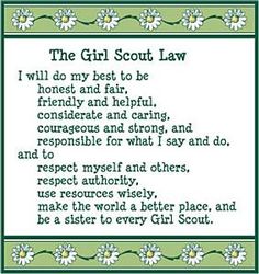 Girl Scout Ideas On Pinterest   Girl Scout Daisies Daisy Girl Scouts    