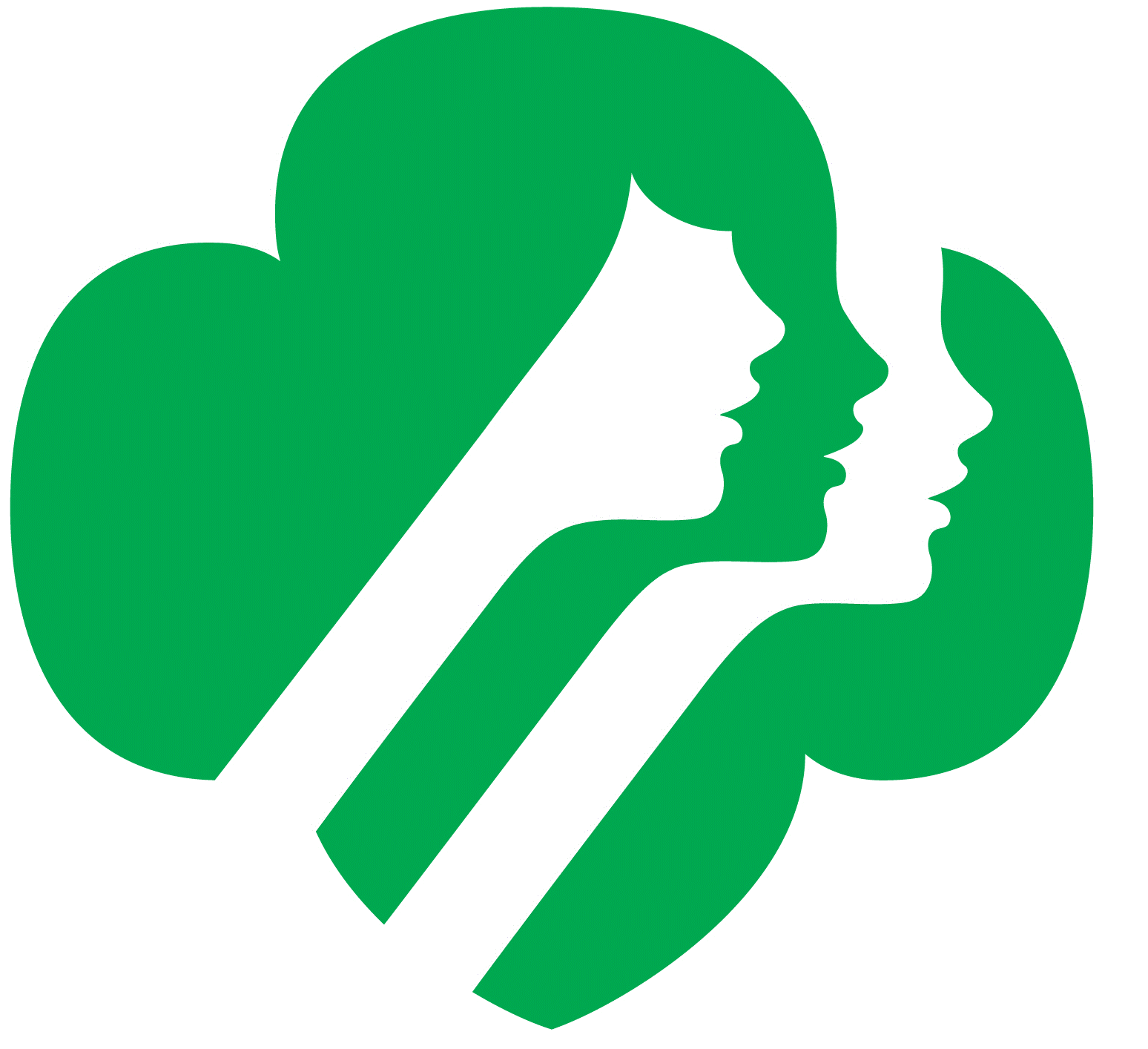 Girl Scouts Now