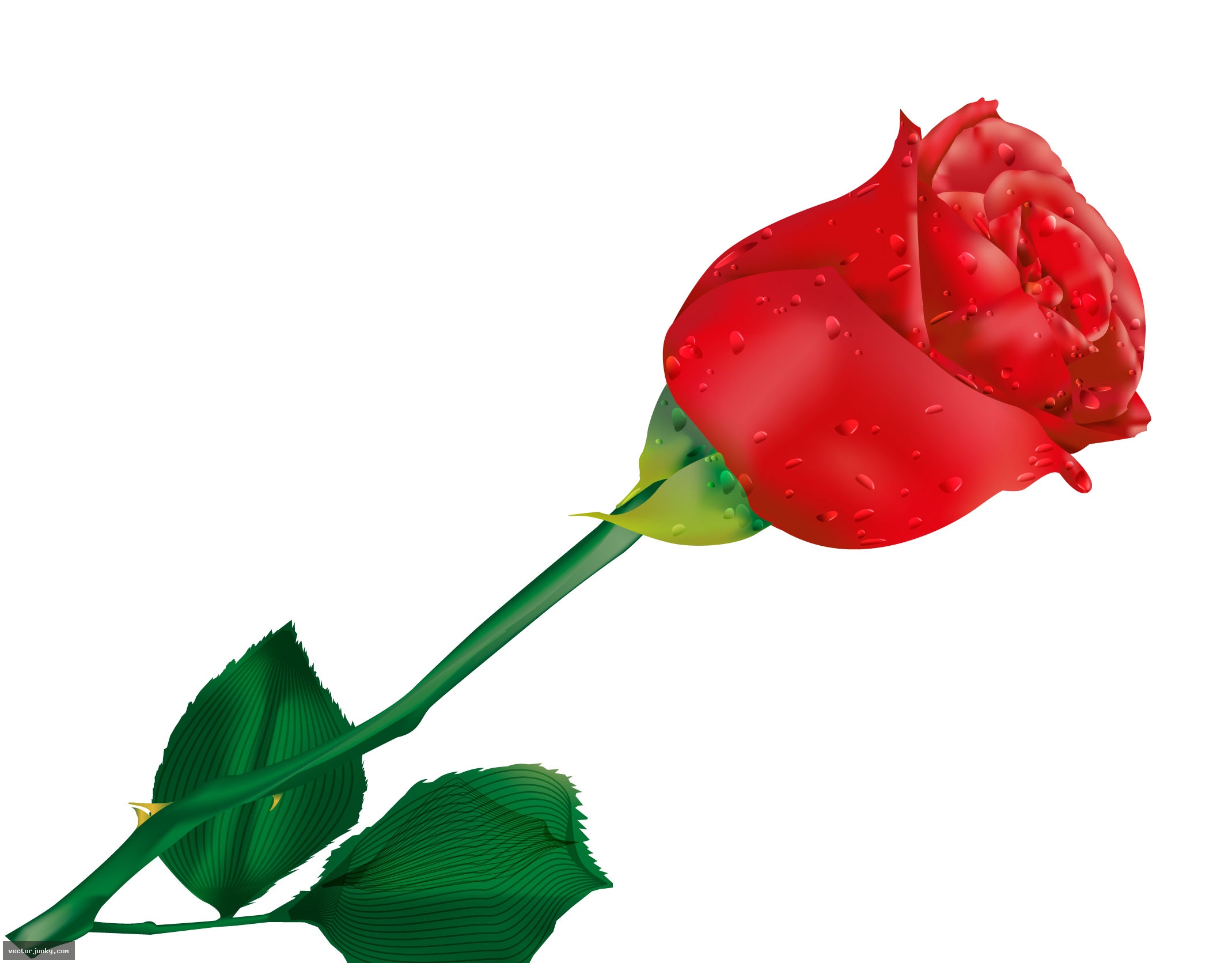 High Quality Vector Red Rose By Donnevan