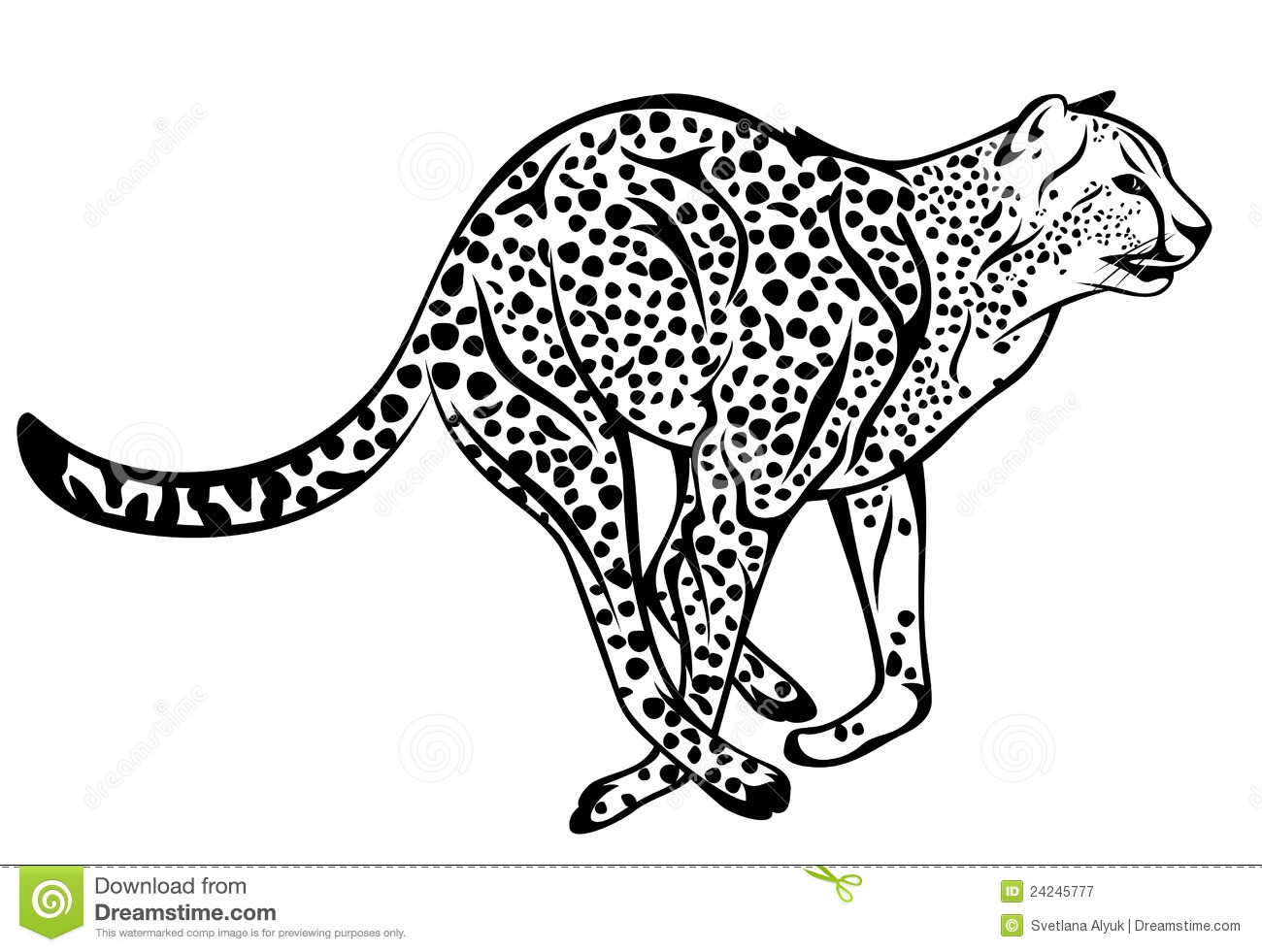 Cheetah Vector Royalty Free Stock Photography   Image  24245777