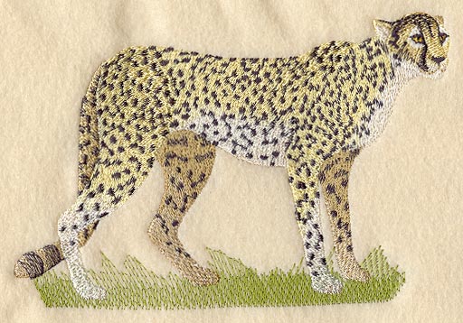 Outline Cheetah