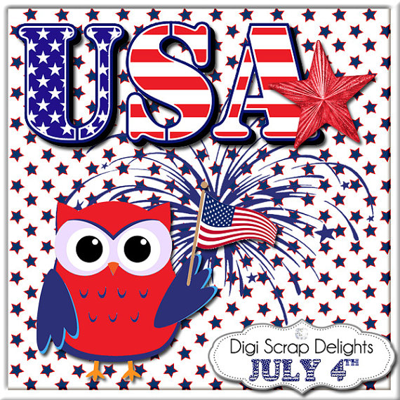Owls America Flag Patriotic 4th Of July Bbq Sparklers Instant