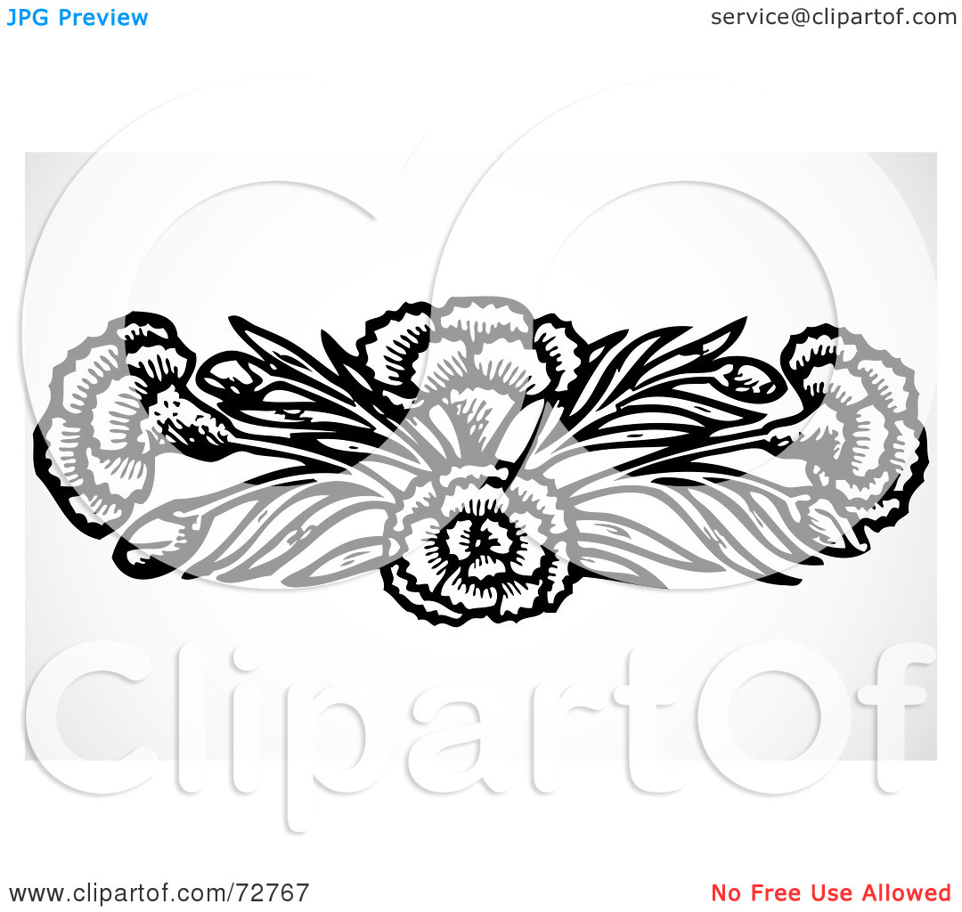 Royalty Free  Rf  Clipart Illustration Of A Black And White Carnation