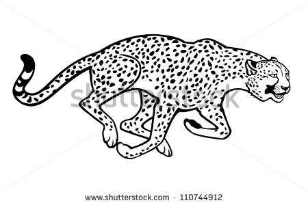 Running Cheetah Black And White Vector Picture Isolated On White