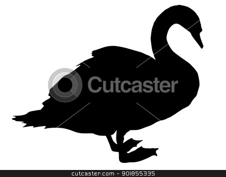 Silhouette Of Swan Stock Vector Clipart Silhouette Of Swan By