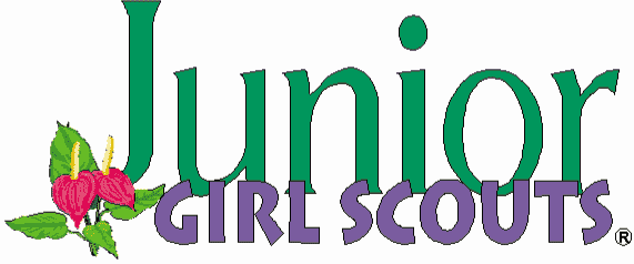 Girl Scout Junior Clip Art Gsusa Web Resource For Girls