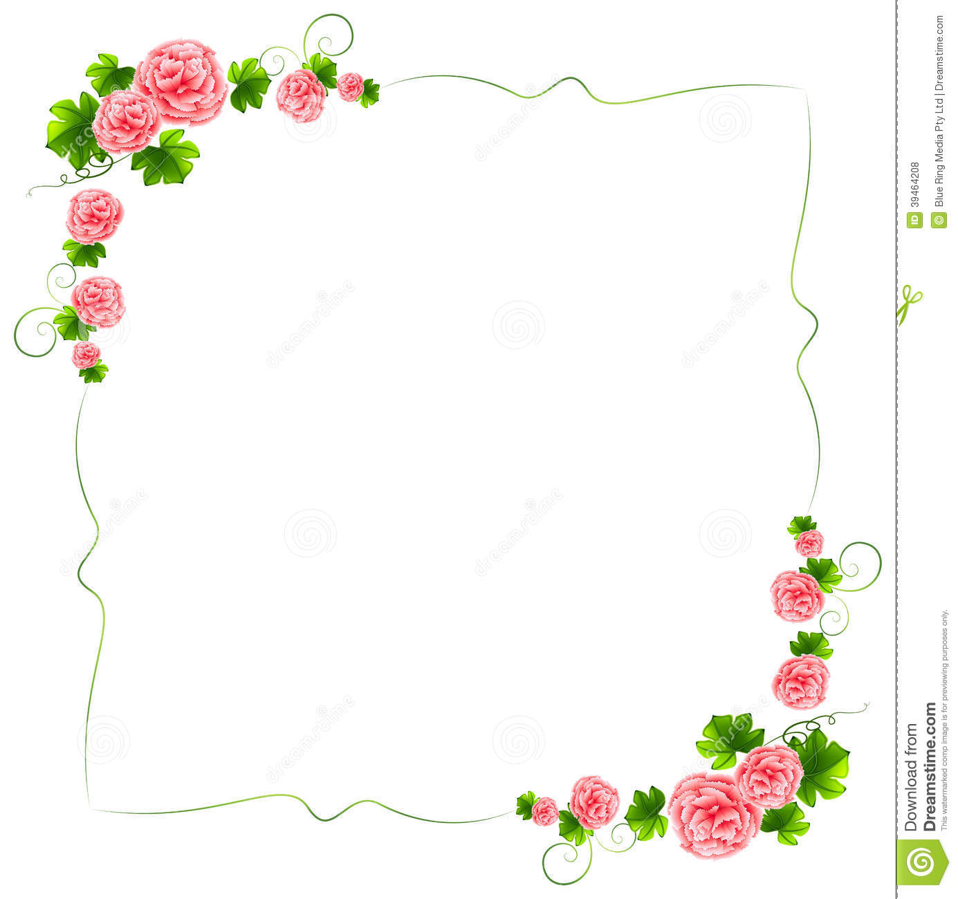 Illustration Of A Border With Carnation Pink Flowers On A White
