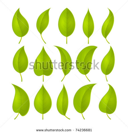 Picture Of Rows Of Green Leaves In A Vector Clip Art Illustration