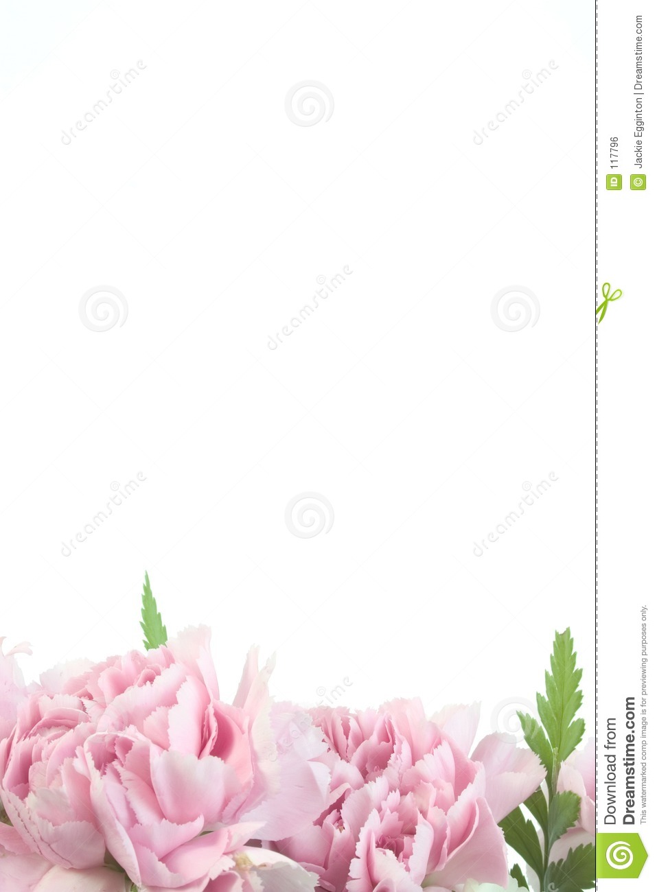 Pink Carnation Border Royalty Free Stock Image   Image  117796