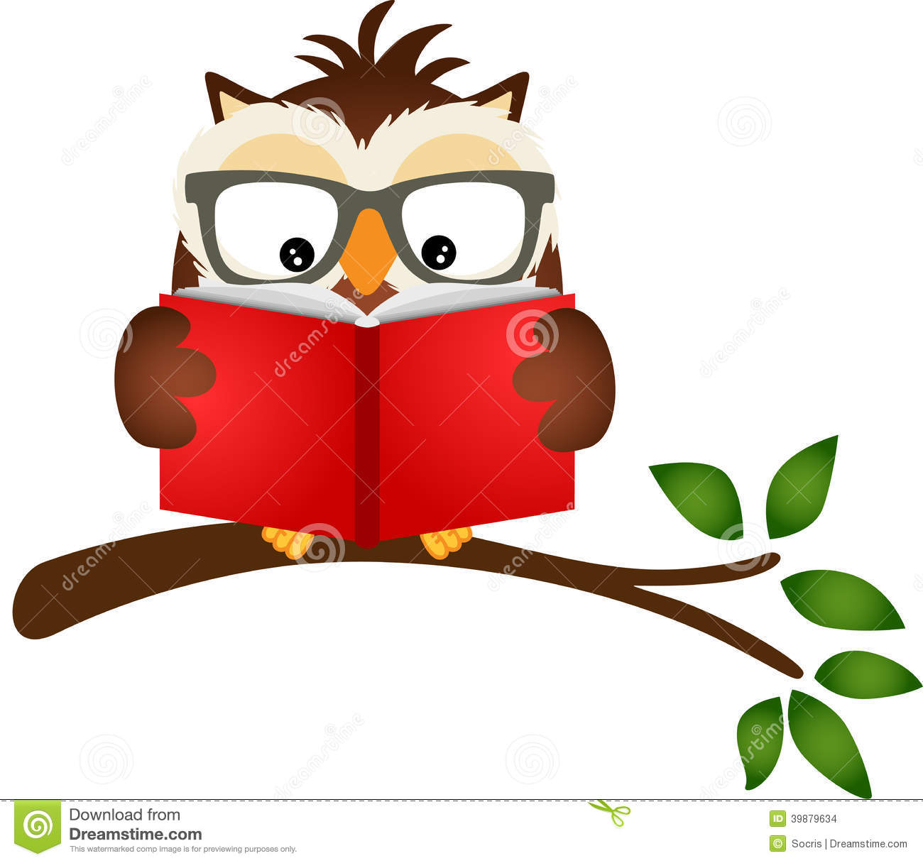 Representing A Owl Reading A Book On Tree Branch Isolated On White
