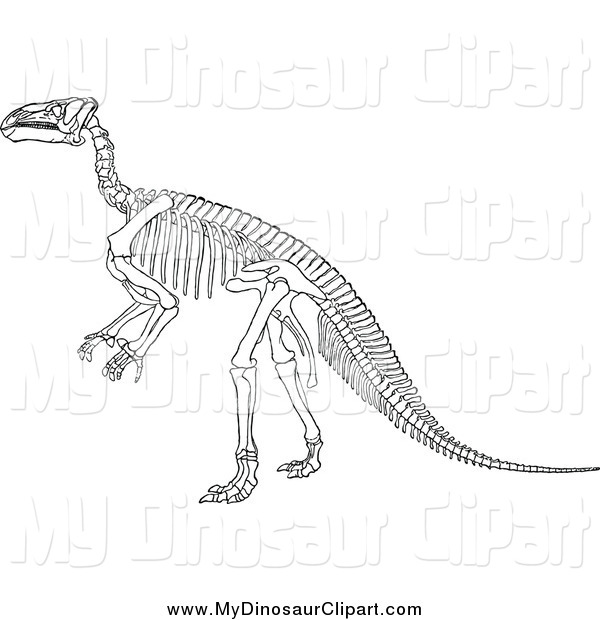 Clipart Of A Dinosaur Skeleton Dinosaur Clip Art Prawny Vintage